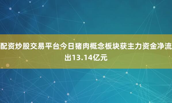 配资炒股交易平台今日猪肉概念板块获主力资金净流出13.14亿元
